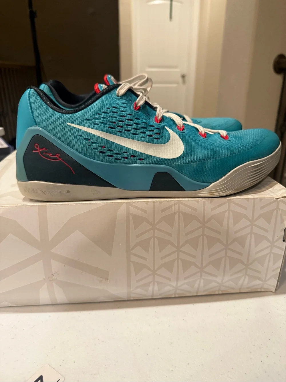 Size 12 - Nike Kobe 9 EM Dusty Cactus